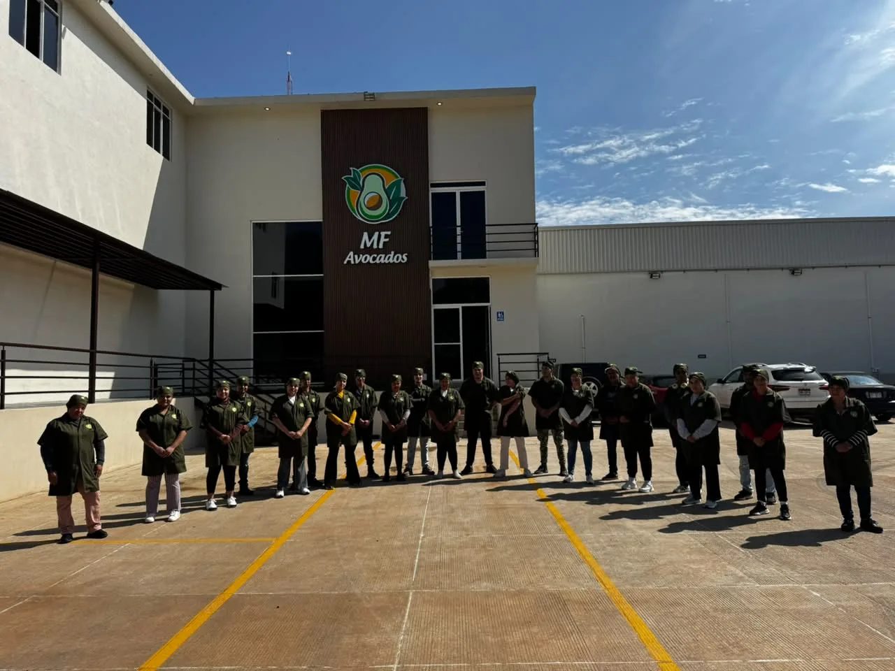 Equipo MF Avocados